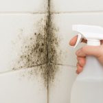 5 Easy Ways to Clean Mould Naturally without Chemicals